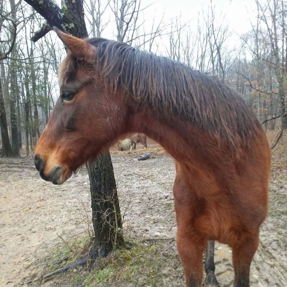 Meet your Posher, Amy
